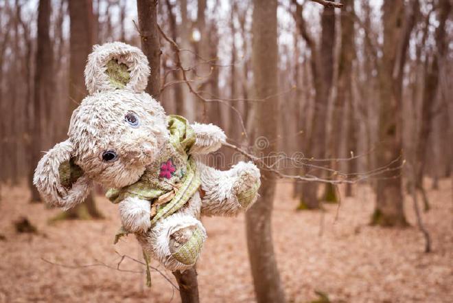 Mouse plush doll in the forest